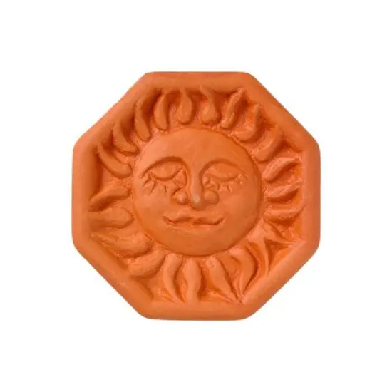 Brown Sugar Saver and Softener {2}