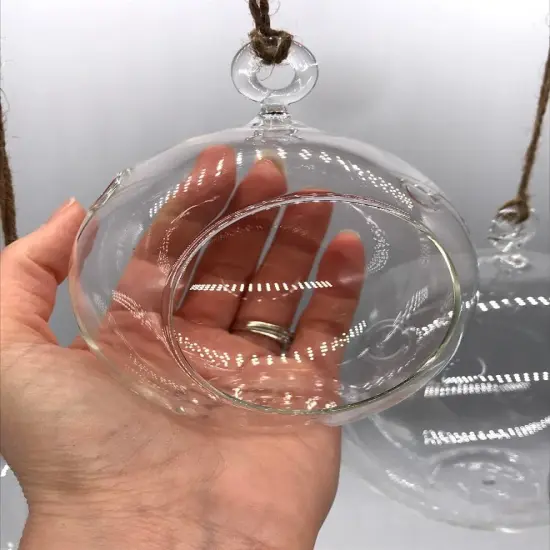 Hanging Glass Globe {3}