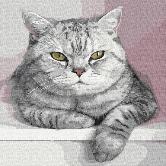 Painting by Numbers kit My furry friend KHO4201 {3}