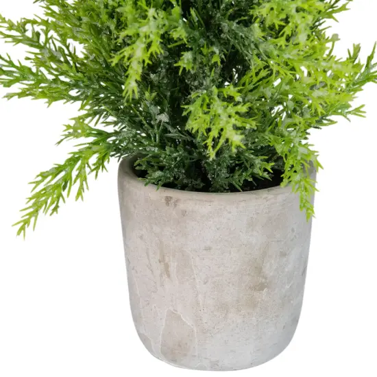 Northlight Upswept Frosted Cedar Artificial Potted Christmas Tree - 17" - Unlit Green {4}