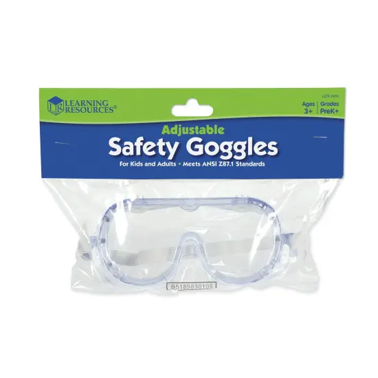 Clear Safety Goggles, Pack of 6 {4}