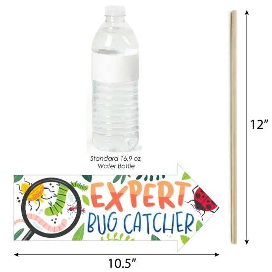 Big Dot of Happiness Funny Buggin' Out - Bugs Birthday Party Photo Booth Props Kit - 10 Piece {4}