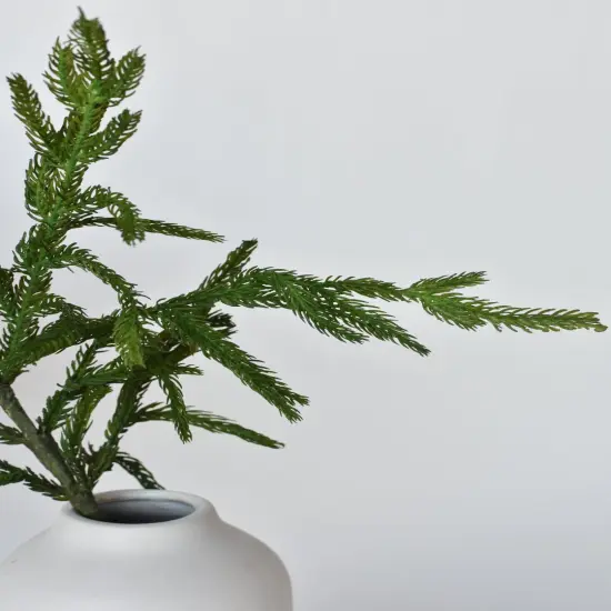 36" RealTouch Norfolk Pine Spray Stem {5}