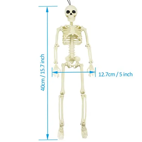 XONOR 16&rdquo; Posable Halloween Skeleton- Full Body Halloween Skeleton with Movable Joints for Haunted House Props Decorations (1pc) {2}