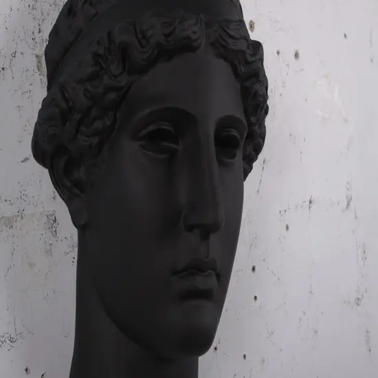 David Head Wall D&eacute;cor Life Size Statue {3}