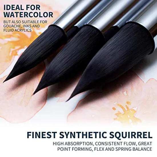 Watercolor Brush Set - 10 Professional Watercolor Paint Brushes for Artists - Soft Synthetic Squirrel Hair, Short Handles: Pointed Rounds, Flats, Dagger, Oval Wash for Water Color, Gouache {6}