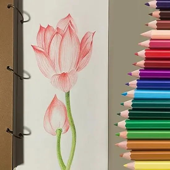 50 Pieces Colored Pencils,50 Vibrant Colors, Drawing Pencils for Sketch, Arts, Coloring Books, Christmas Halloween Gifts {1}