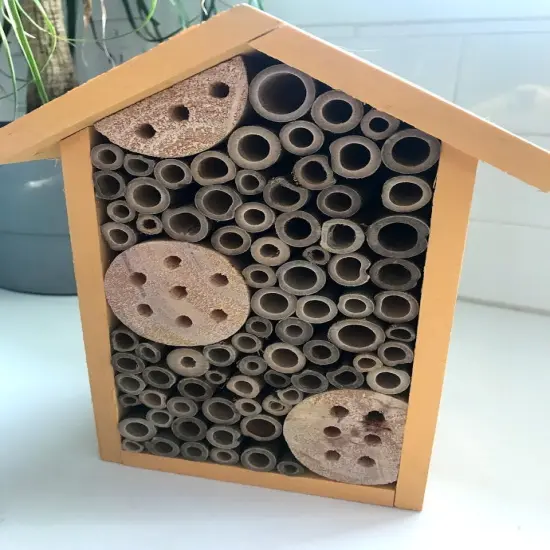 Sunny 1 Room Pollinator House Purple {3}