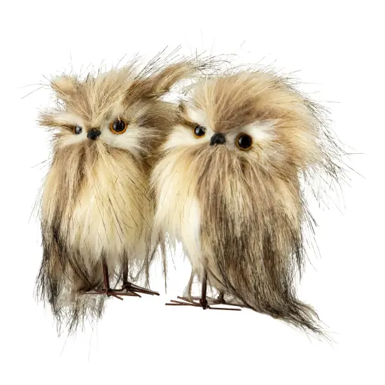 Northlight Set of 2 Brown and Ivory Owls Figures {7}