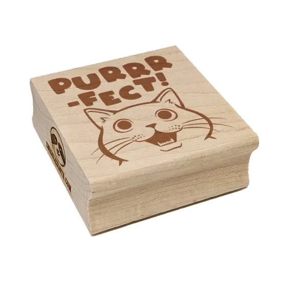 Purrrfect Perfect Cat Square Rubber Stamp for Stamping Crafting {7}