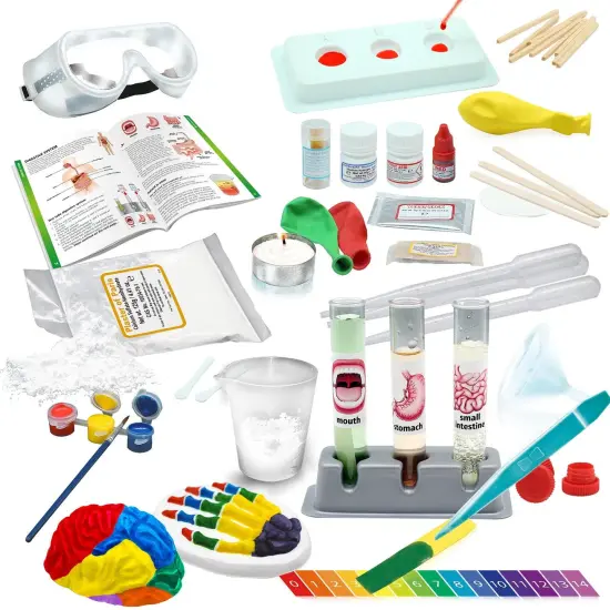 Medical Science - STEM Kit for Ages 8+ - Make a Test-Tube Digestive System, Extract DNA, Create Anatomical Models and More! {2}