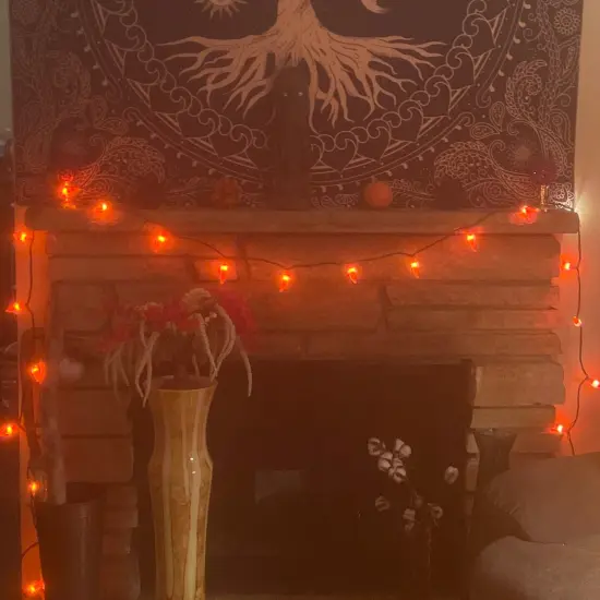 Northlight 35-Count Orange Chili Pepper Patio String Light Set, 22.5ft Brown Wire {5}