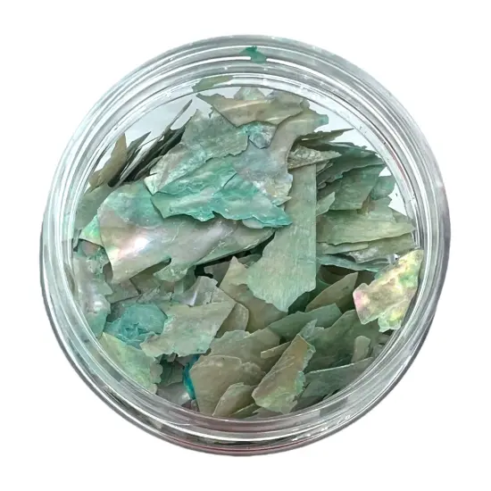 Mother of Pearl Crushed Genuine Abalone Shell Piece Inclusions - 8 Colors! Seafoam {1}