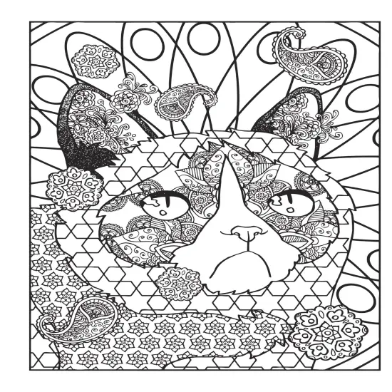 Creative Haven: Grumpy Cat Hates Coloring Coloring Book-Softcover {3}