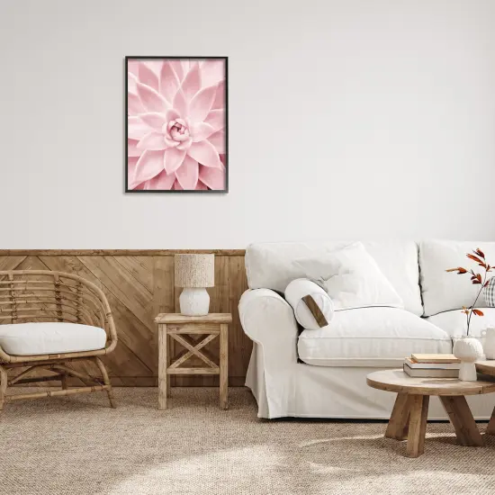 Stupell Industries Pastel Pink Succulent Framed Giclee Art Black Frame {2}