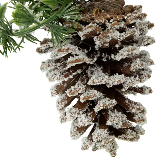 Northlight 13" Frosted Pine Cone with Mixed Foliage Christmas Ornament Brown {4}