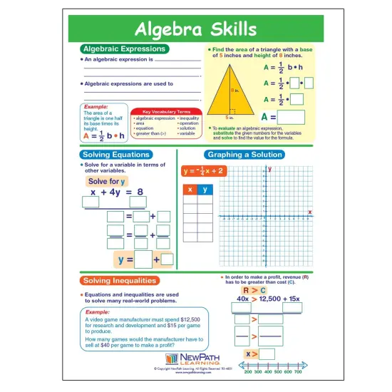 Algebra Skills Visual Learning Guides&trade; Set {5}