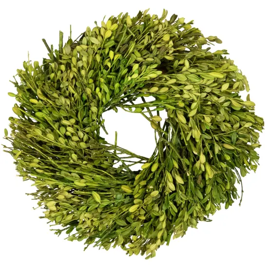 Northlight Green Foliage Artificial Spring Wreath - 10" - Unlit {1}