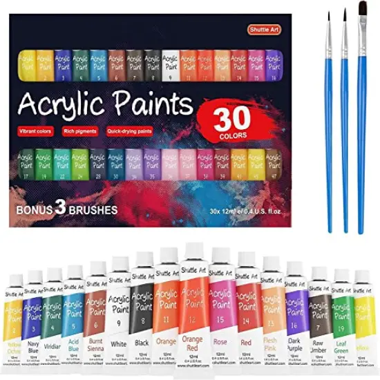Shuttle Art Acrylic Paint Set, 30 x12ml Tubes Artist Quality Non Toxic Rich Pigments Colors Great for Kids Adults Professional Painting on Canvas Wood Clay Fabric Ceramic Crafts {1}