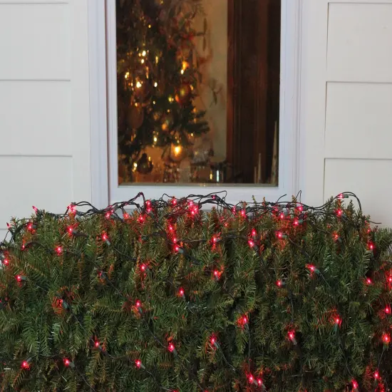 Northlight Mini Net Style Incandescent Christmas Lights - 4' x 6' - Red - Green Wire {3}
