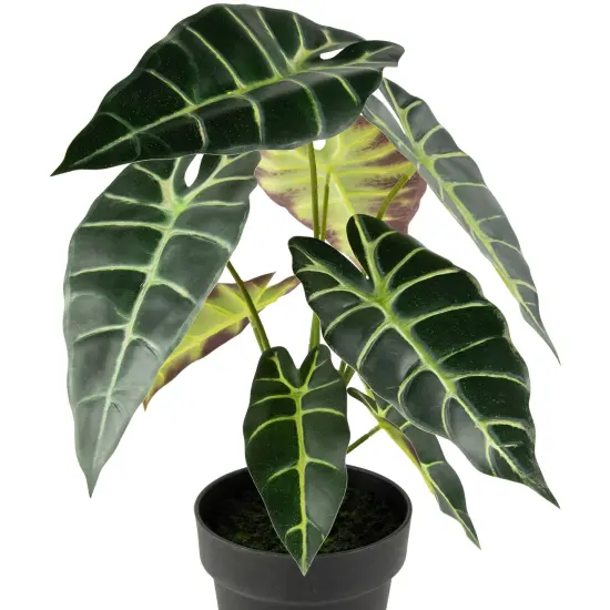 Northlight Real Touch&trade; Artificial Taro Plant in Black Pot 18" Green {5}