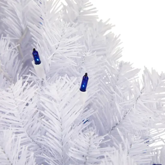 Northlight Pre-Lit Geneva Spruce Artificial Christmas Wreath - 24" - White - Blue Lights {5}