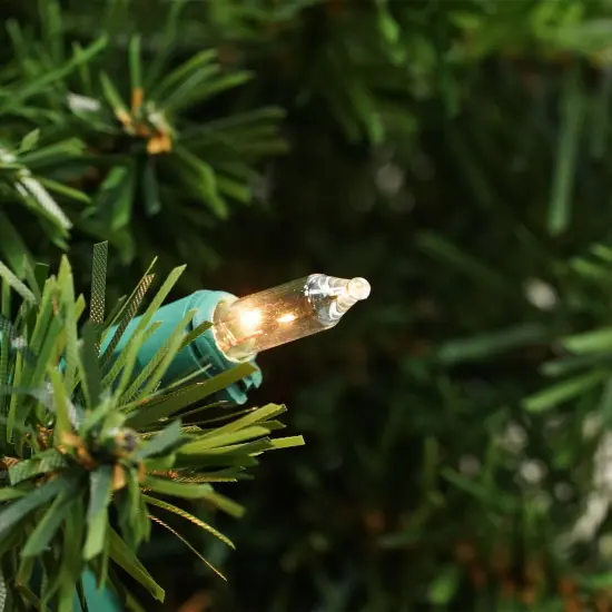 Northlight Pre-Lit Canadian Pine Artificial Christmas Wreath - 24" - Clear Lights Green {4}