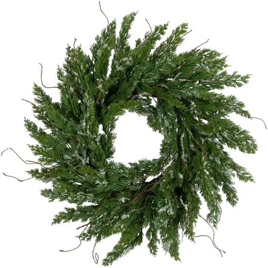 Northlight Real Touch&trade;️ Iced Cedar Artificial Christmas Wreath- 24" - Unlit Green {1}