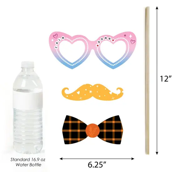 Big Dot of Happiness In My Party Era - Celebrity Concert Party Photo Booth Props Kit - 20 Count {7}