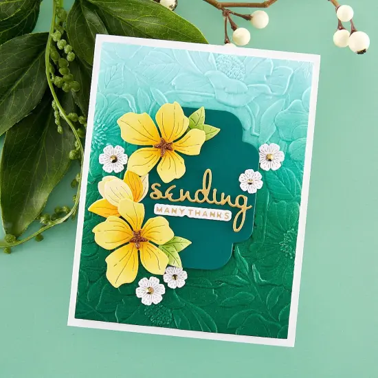 Spellbinders 3D Embossing Folder 5.5"x8.5"-Four Petal Floral {4}
