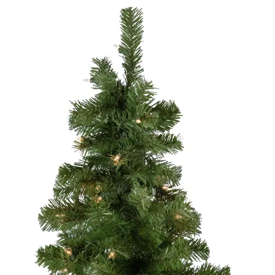 Northlight 7.5' Pre-Lit Hazelton Spruce Pencil Artificial Christmas Tree, Clear Lights Green {5}