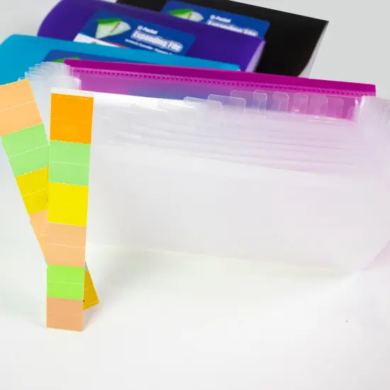 BAZIC Expanding File Check Size Poly 13-Pocket {4}