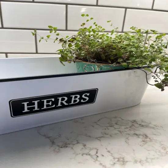 Windowsill Planter - HERBS {4}