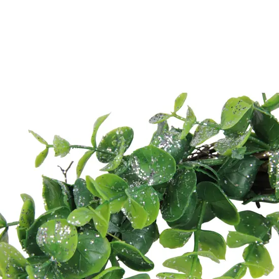 Northlight Sparkling Silver and Green Grass Decorative Artificial Christmas Wreath - 8.75-Inch, Unlit {4}