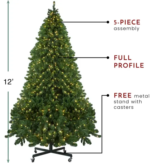 Northlight Pre-Lit Full Olympia Pine Artificial Christmas Tree - 12' - Warm White Lights Green {7}