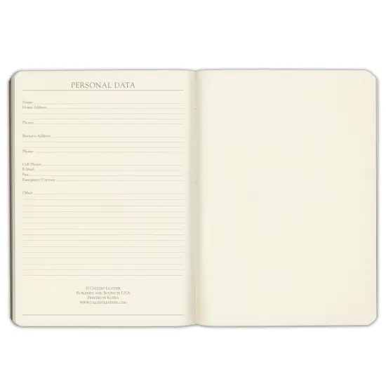 Gallery Leather Desk Spiritual Journal - 8"x5.5" Acadia Green {7}