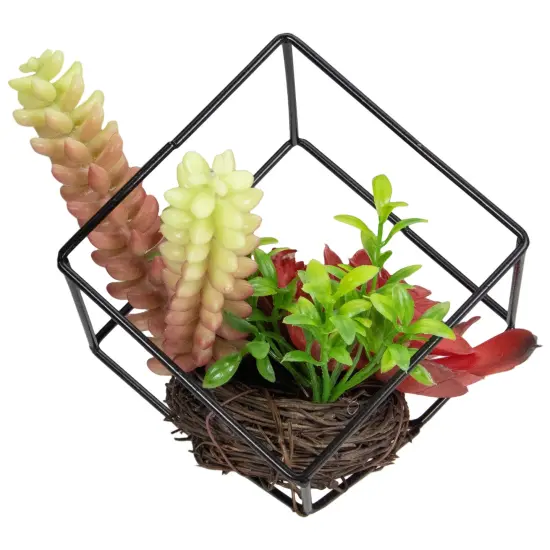 Northlight 5.5" Artificial Succulent Arrangement in Black Metal Wire Frame Red {5}