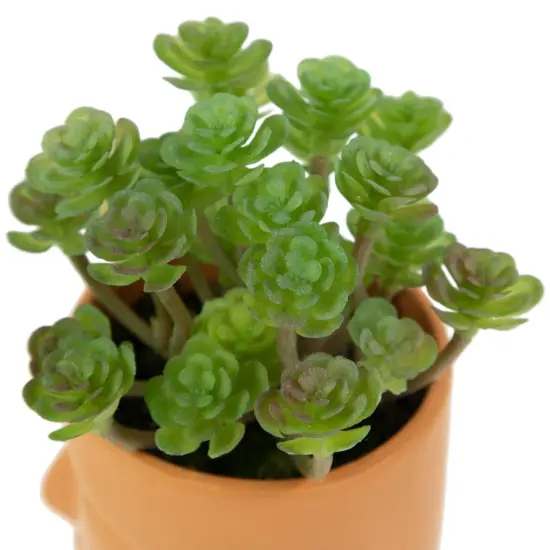 Northlight Mini Artificial Succulent in Face Planter Pot - 5.5" Green {7}