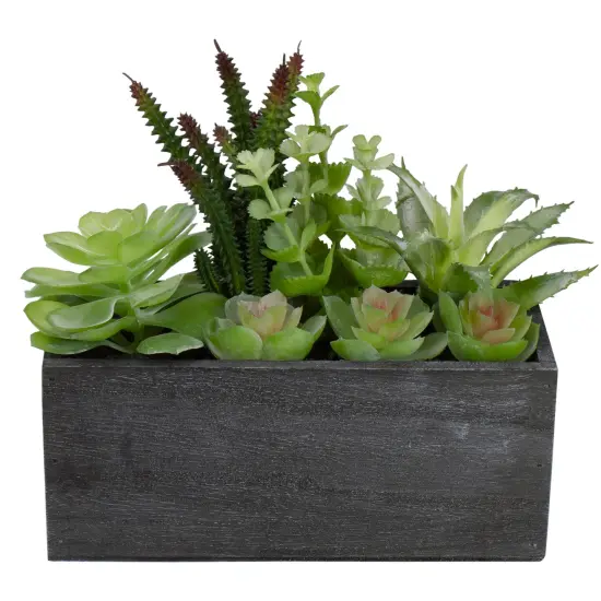 Northlight 10" Artificial Mixed Succulent Plants in a Rectangular Planter Green {5}