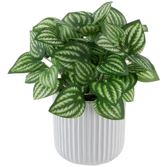 Northlight Artificial Watermelon Peperomia Plant in Pot - 6.5" Green {4}