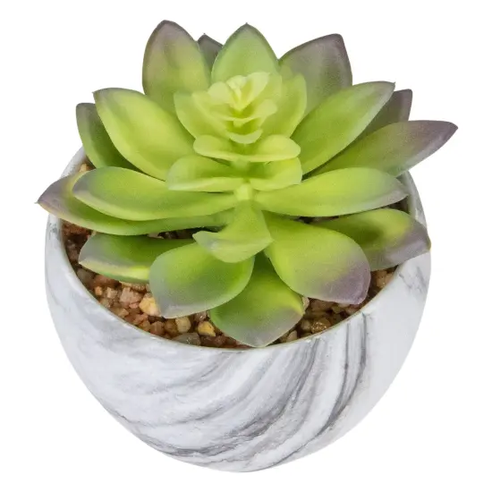 Northlight 4" Green and Purple Artificial Succulent in Faux Marble Pot {6}