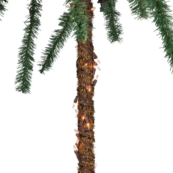 Northlight 6' Pre-Lit Artificial Tropical Outdoor Patio Palm Tree - Clear Lights Green {5}