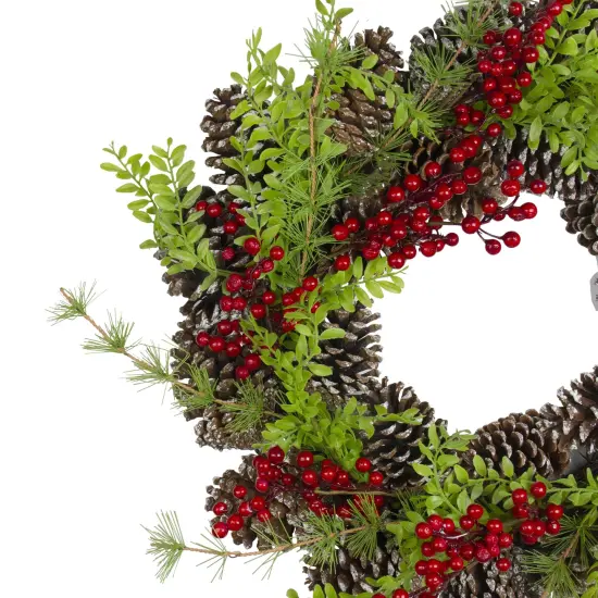 Northlight Frosted Pine Cones and Berries Artificial Christmas Wreath - 18-Inch, Unlit Brown {4}