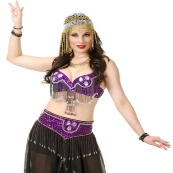 Women's Purple Arabian Belly Dancer Jeweled Beaded Bra And Belt {1}