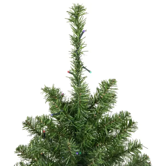 Northlight 3' Pre-Lit LED Medium Canadian Pine Artificial Christmas Tree - Multicolor Lights Green {5}
