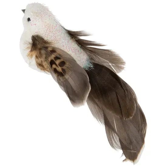 Northlight Bird with Clip and Feathers Christmas Ornament - 6" - White and Brown {6}