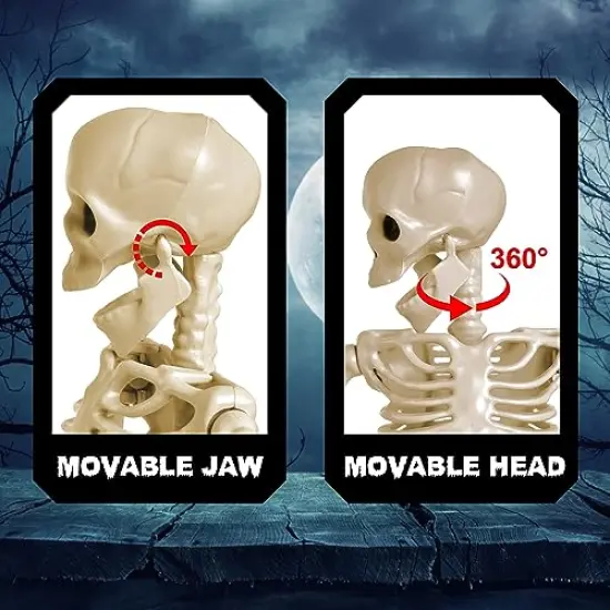 24 Inches Halloween Posable Skeleton, Full Body Skeleton Movable Joints, Plastic Bones for Hanging Halloween Decorations {3}
