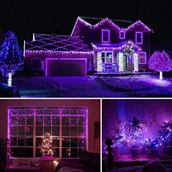 HOME LIGHTING 66ft Halloween Decorative Mini Lights, 200 LED Green Wire Fairy Starry String Lights Plug in, 8 Lighting Modes, for Indoor Outdoor Xmas Tree Wedding Party Decoration (Purple) {1}