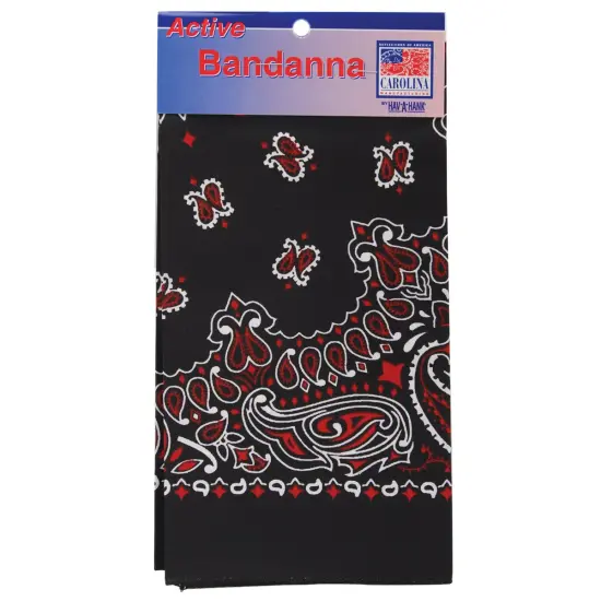 Carolina Hav-A-Hank Paisley Bandanna 22"X22"-Black, Red & White {1}
