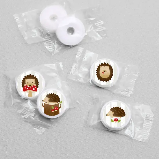 Big Dot of Happiness Forest Hedgehogs - Woodland Birthday Party or Baby Shower Round Candy Sticker Favors - Labels Fits Chocolate Candy 108 Ct {4}